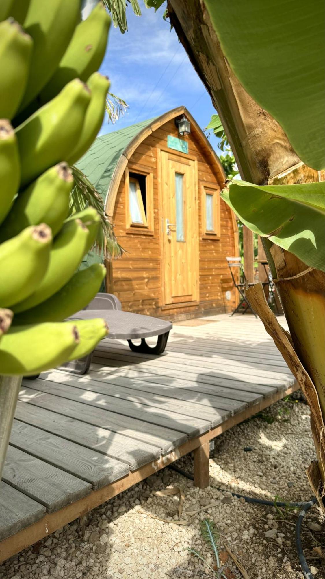 Lykke Suite Spa Sauna Piscina Y Jardin Buzanada Buitenkant foto