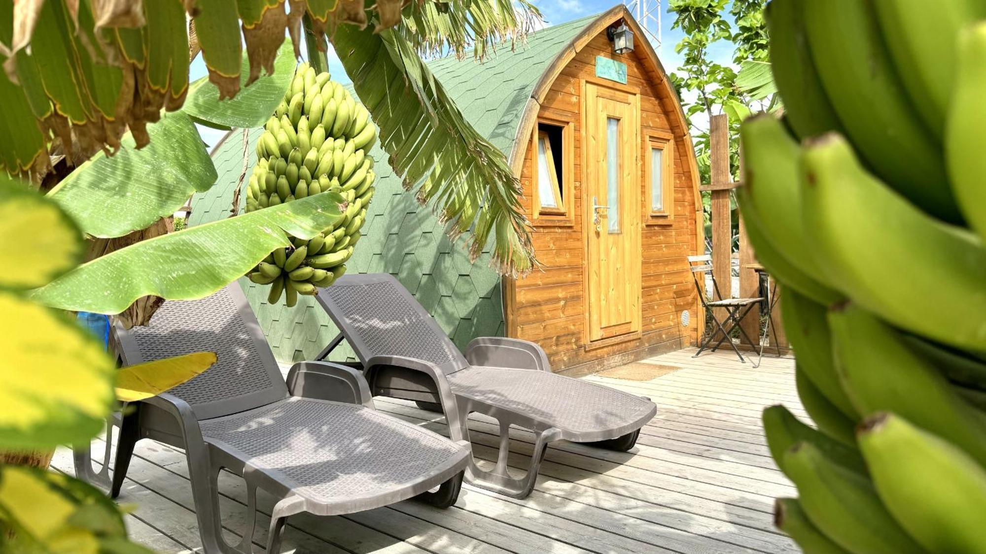 Lykke Suite Spa Sauna Piscina Y Jardin Buzanada Buitenkant foto
